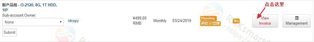 raksmart未付款账单