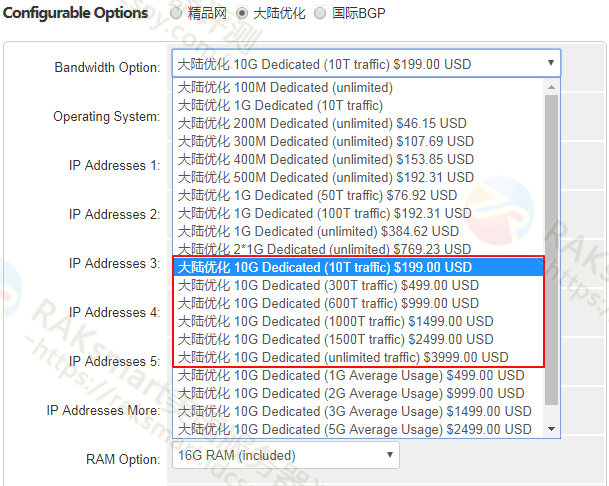 RAKsmart美国10G服务器配置选择