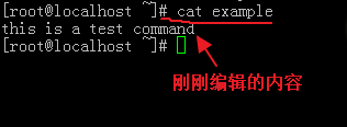 vi编辑器cat命令