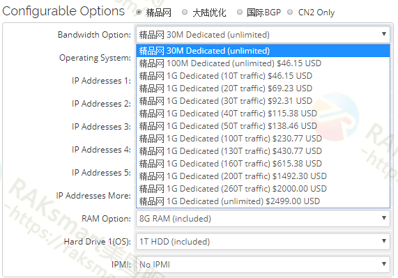 raksmart美国cn2服务器带宽配置