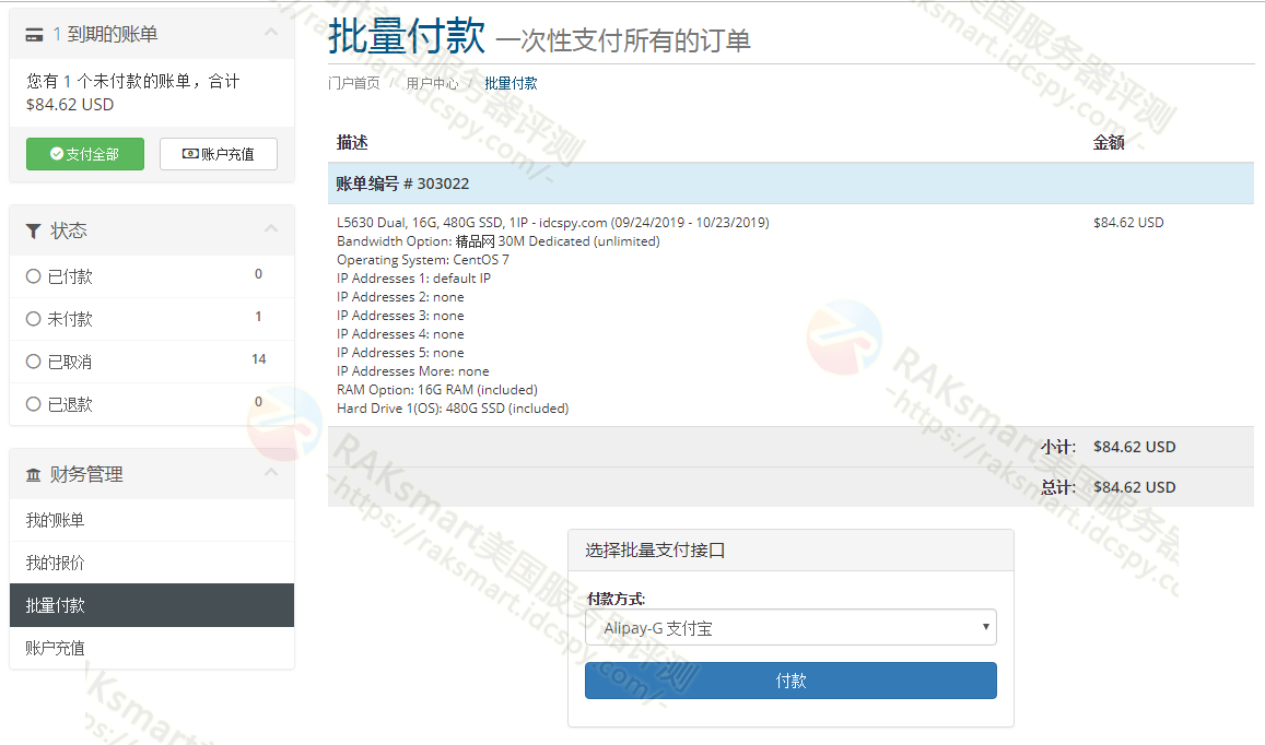 raksmart批量付款账单页面