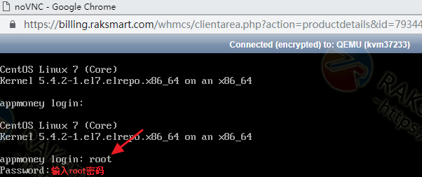 RAKsmart Linux VPS HTML5 VNC登录