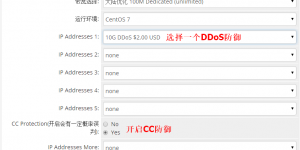 raksmart购买ddos防护