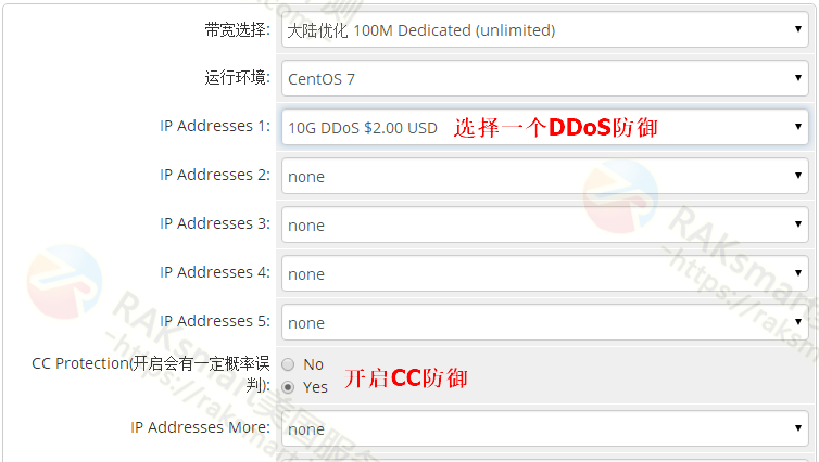 raksmart开启cc防御