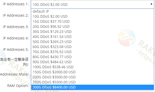 raksmart ddos防护价格明细