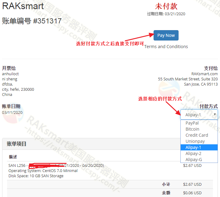 RAKsmart账单支付页面