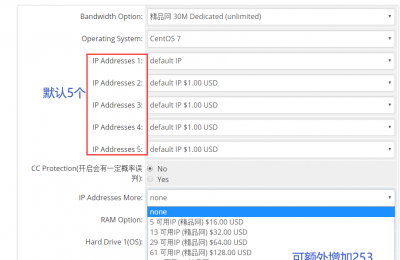 RAKsmart海外站群服务器推荐