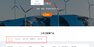 RAKsmart VPS服务改名为云集成服务