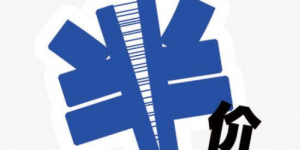 RAKsmart日本站群服务器半价促销