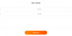 填写表单进行RAKsmart服务器托管