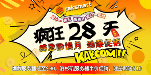 RAKsmart双十一活动