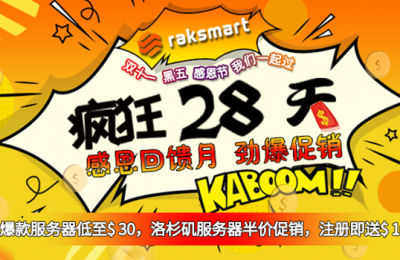 RAKsmart双十一活动