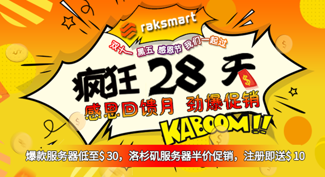 RAKsmart双11劲爆促销：独立服务器$30限量秒杀 注册即送$10