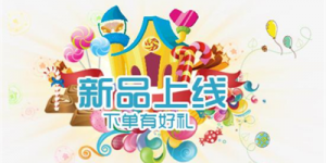RAKsmart荷兰服务器方案上线