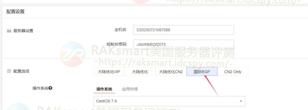 RAKsmart