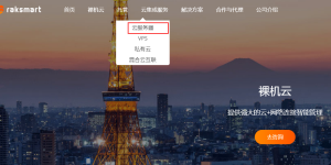 RAKsmart官网云服务器页面
