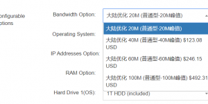 20M~100M的带宽