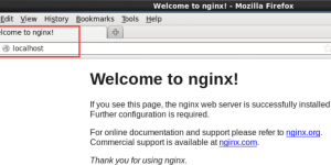 Linux安装Nginx成功