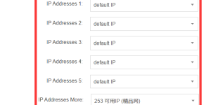 RAKsmart香港站群多ip服务器租用方案