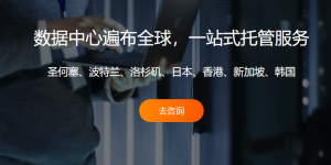 RAKsmart美国洛杉矶服务器托管