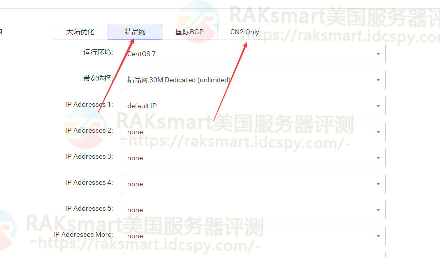 RAKsmart美国CN2 GIA服务器