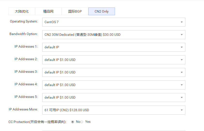 RAKsmart美国CN2站群服务器