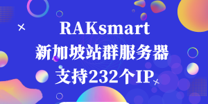 RAKsmart新加坡站群服务器