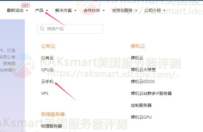 RAKsmart