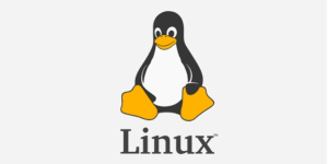 Linux常用基本命令