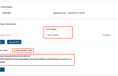 RAKsmart SSL证书DNS验证
