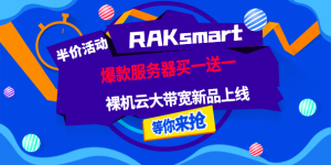 RAKsmart美国服务器活动