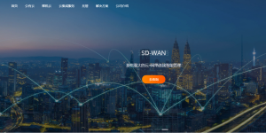 RAKsmart中文站点