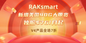 RAKsmart年终钜惠
