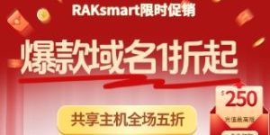 RAKsmart