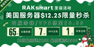 RAKsmart