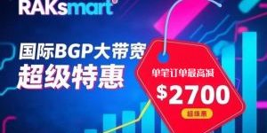 RAKsmart