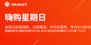 RAKsmart