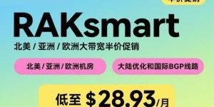 RAKsmart