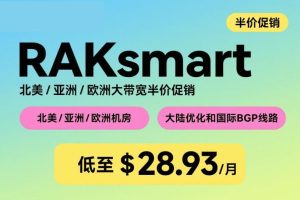 RAKsmart