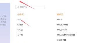 RAKsmart VPS服务器购买教程