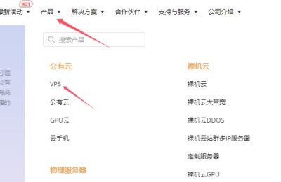 RAKsmart VPS服务器购买教程