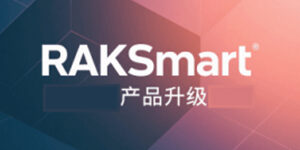 RAKsmart