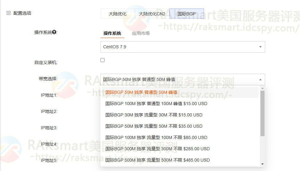 增加国际BGP线路