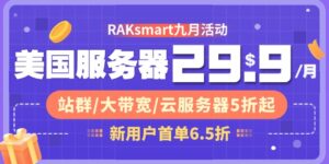 RAKsmart