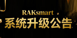 RAKsmart