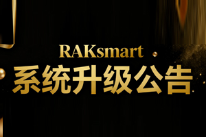 RAKsmart