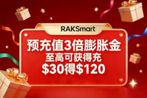 RAKsmart