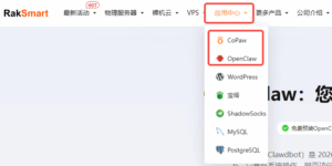 RAKsmart OpenClaw/CoPaw VPS购买地址