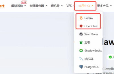 RAKsmart OpenClaw/CoPaw VPS购买地址