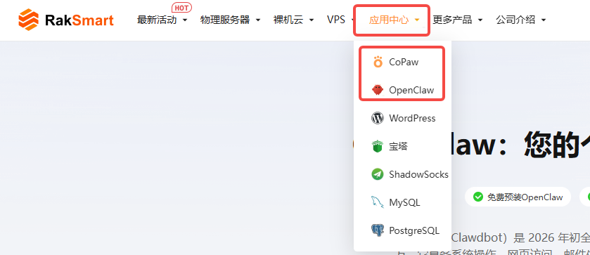 RAKsmart OpenClaw/CoPaw VPS购买地址